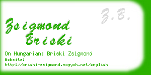 zsigmond briski business card